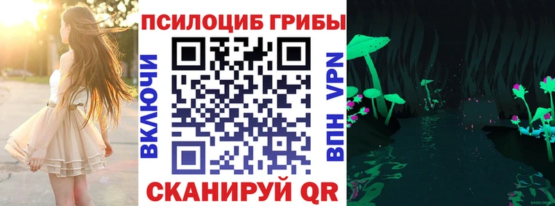 Псилоцибиновые грибы Magic Shrooms  магазин продажи   Шимановск 