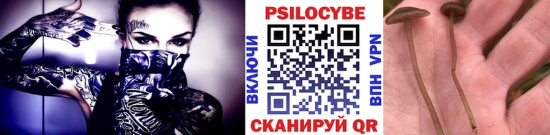 Галлюциногенные грибы мухоморы Шимановск