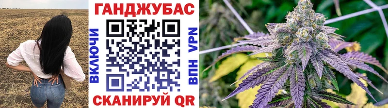 shop какой сайт Шимановск Канабис сатива